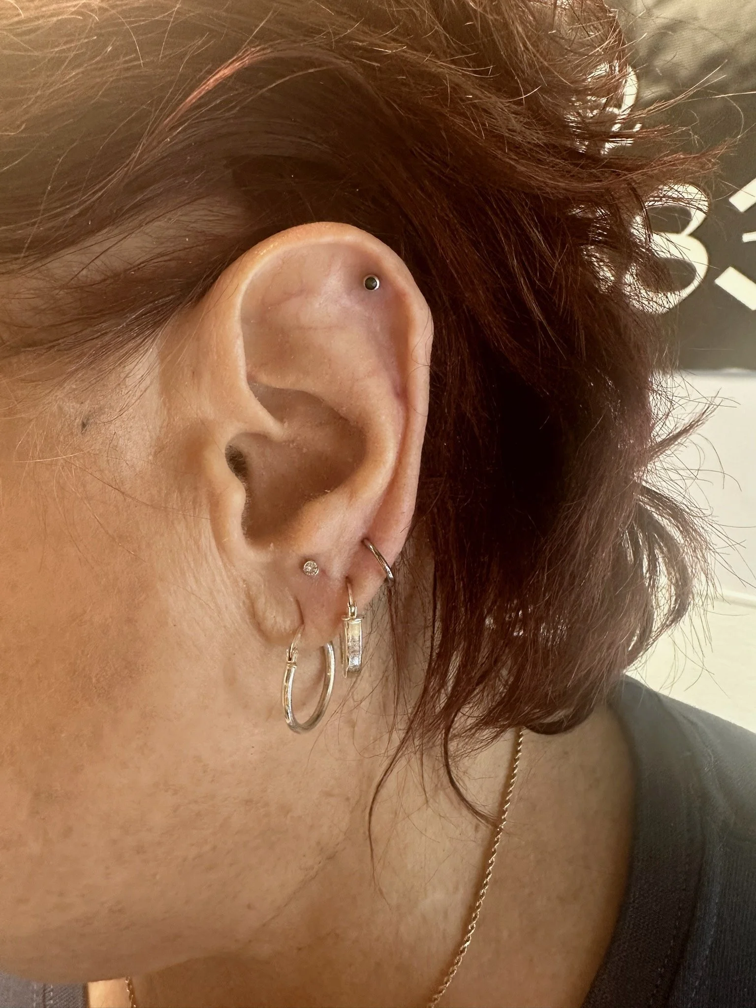 Piercer Gallery — Earthborne Studios