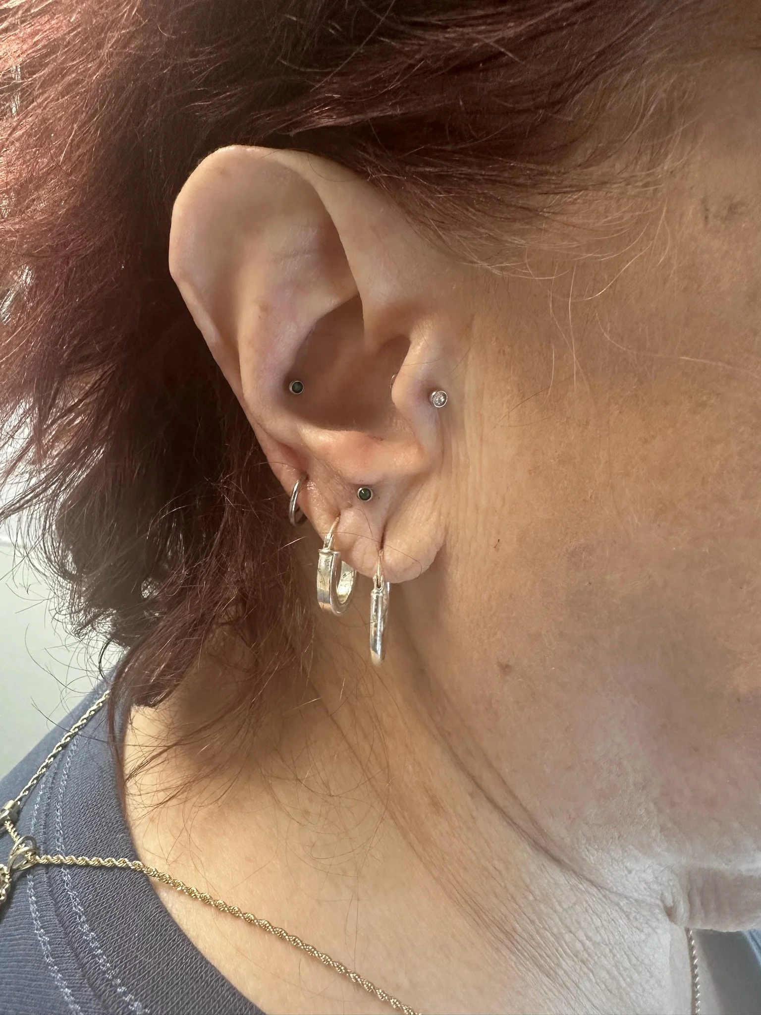 Piercer Gallery — Earthborne Studios