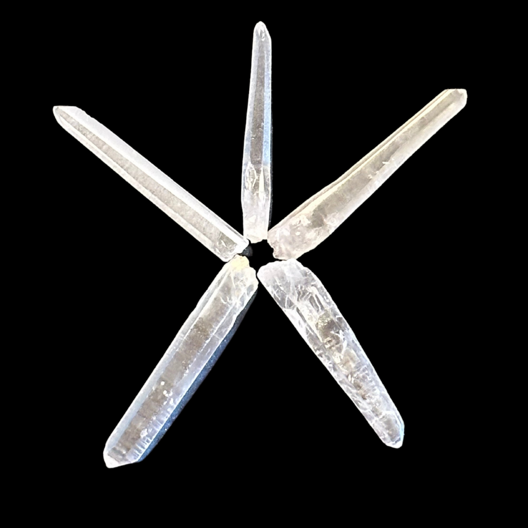 Untitled design (1).png