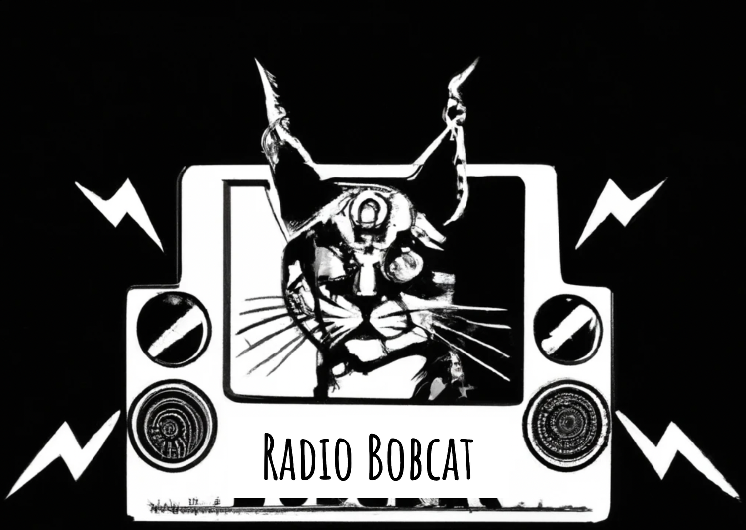 Radio Bobcat