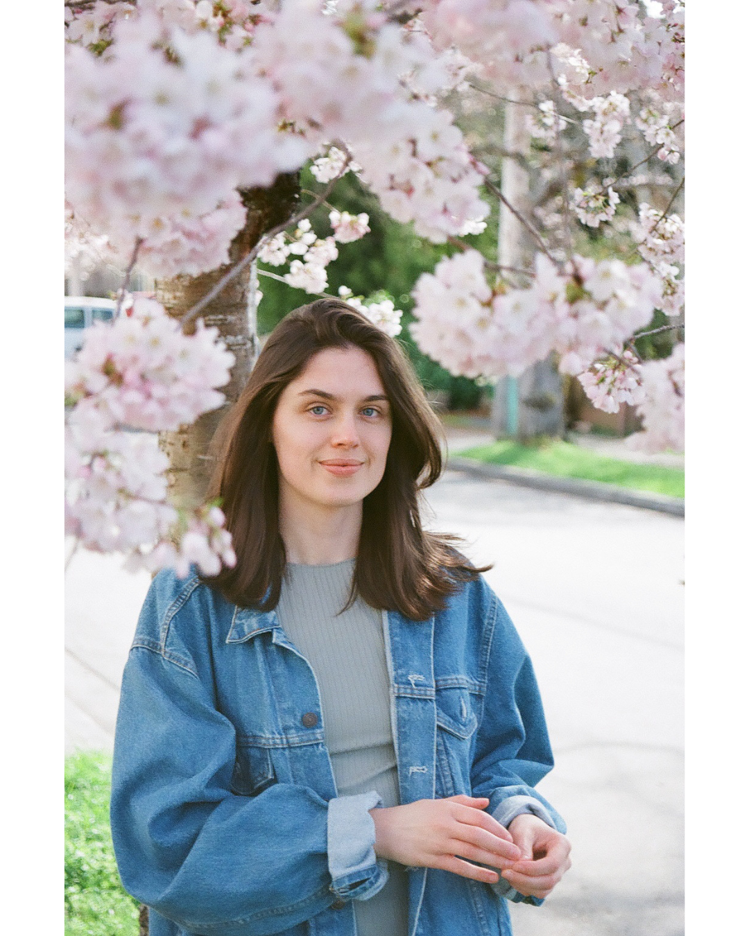 a person with long hair in a blue denim jacket underneath a cherry blossom tree