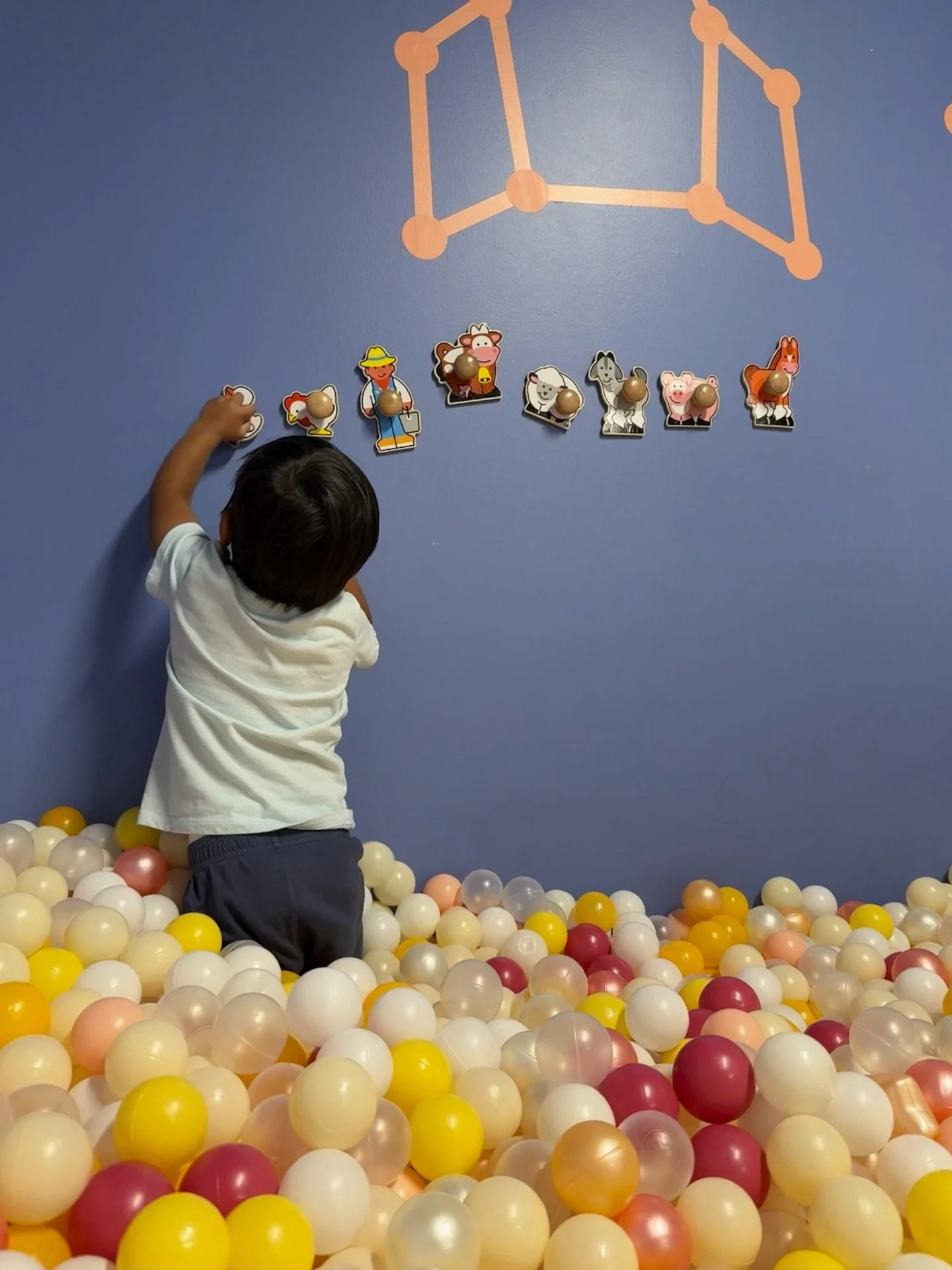POV: The ball pit is lava and the farm animals need saving 🐔🌋

What looks like play is actually:
&bull; Core strengthening
&bull; Body awareness
&bull; Motor planning
&bull; Core word practice
&bull; Vocabulary expansion

Saving cows. Building skil