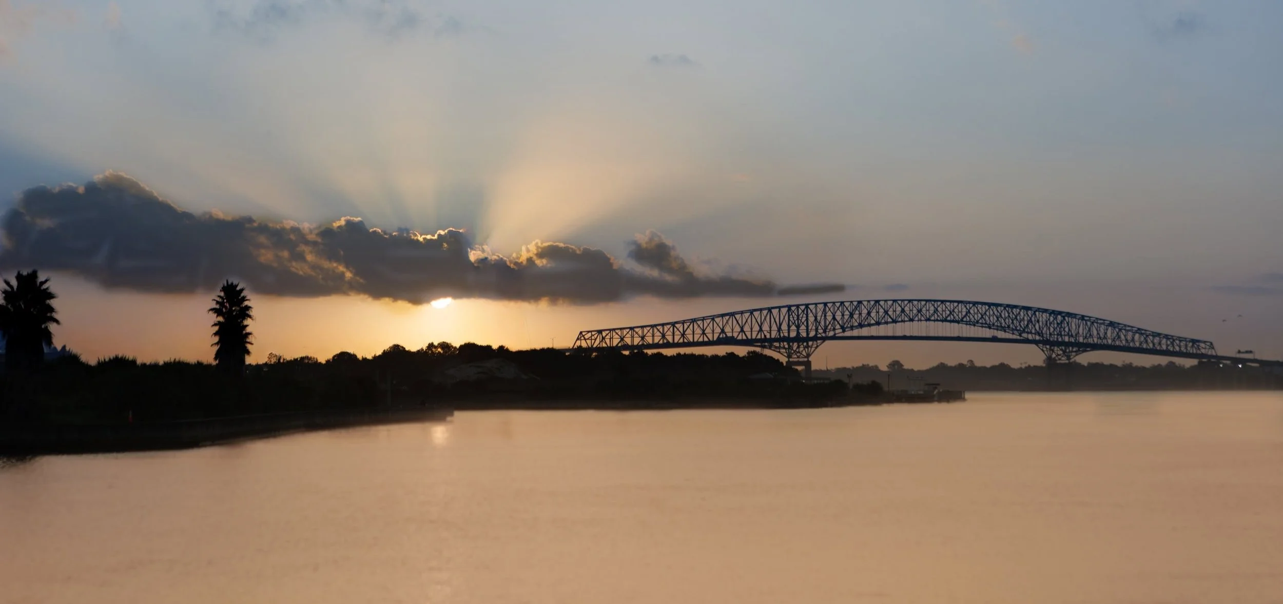 Jacksonville Heart Bridge