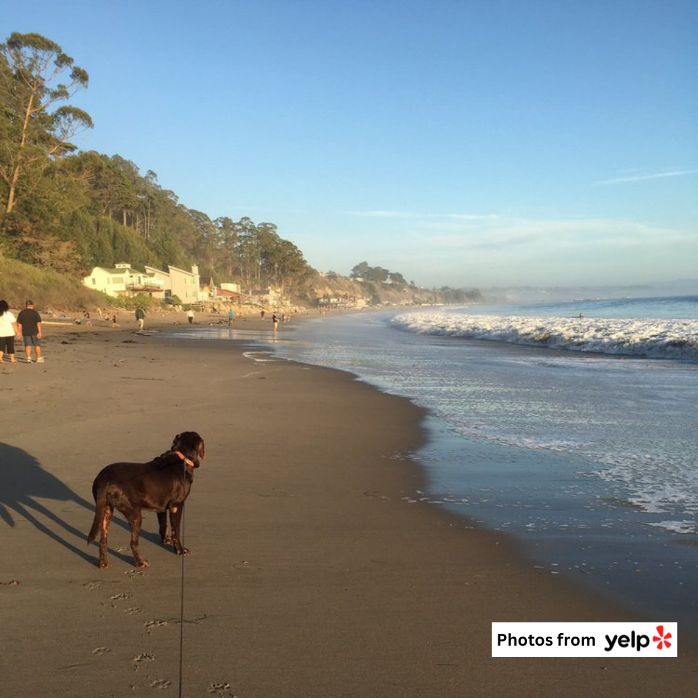 New Brighton State Beach Campground 3.png