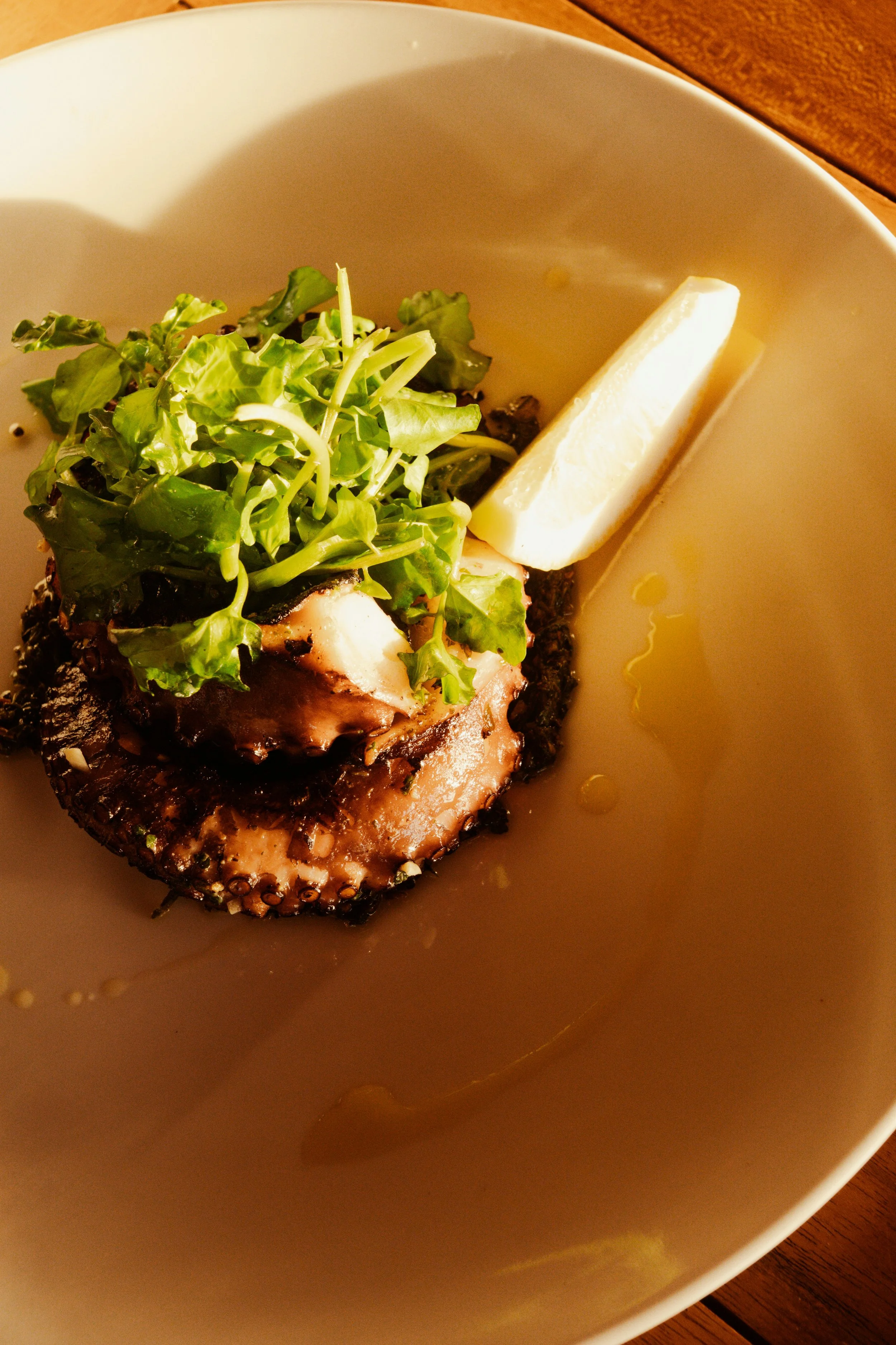 Chef Brandon Rogers, LLC. | Chicago | Grilled Octopus With Citrus Herb Salad