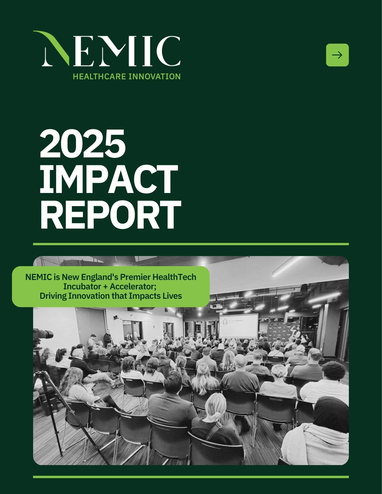 NEMIC 2025 Impact Report
