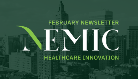 NEMIC Newsletter: February 2026