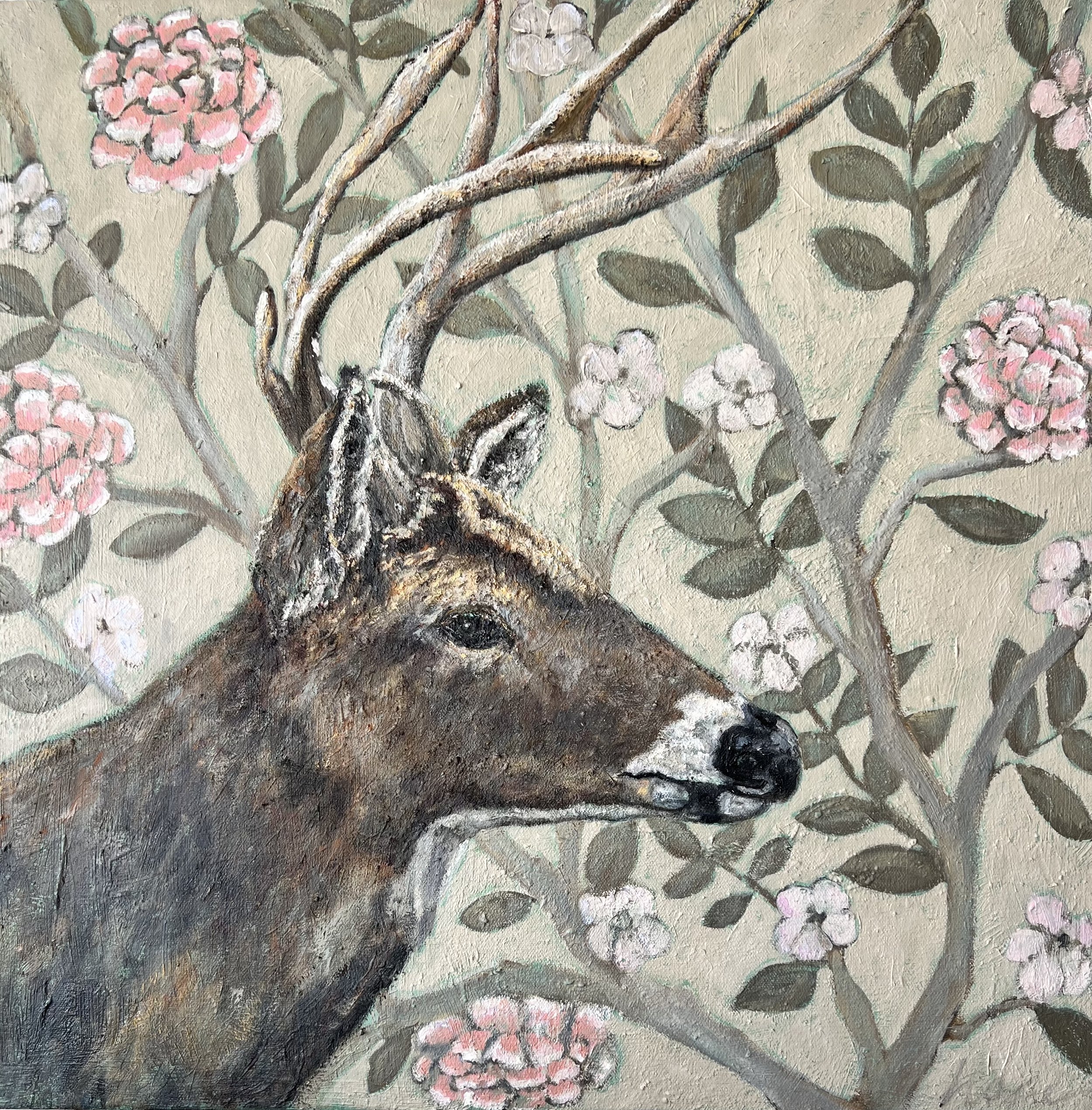 Reve de Cerf