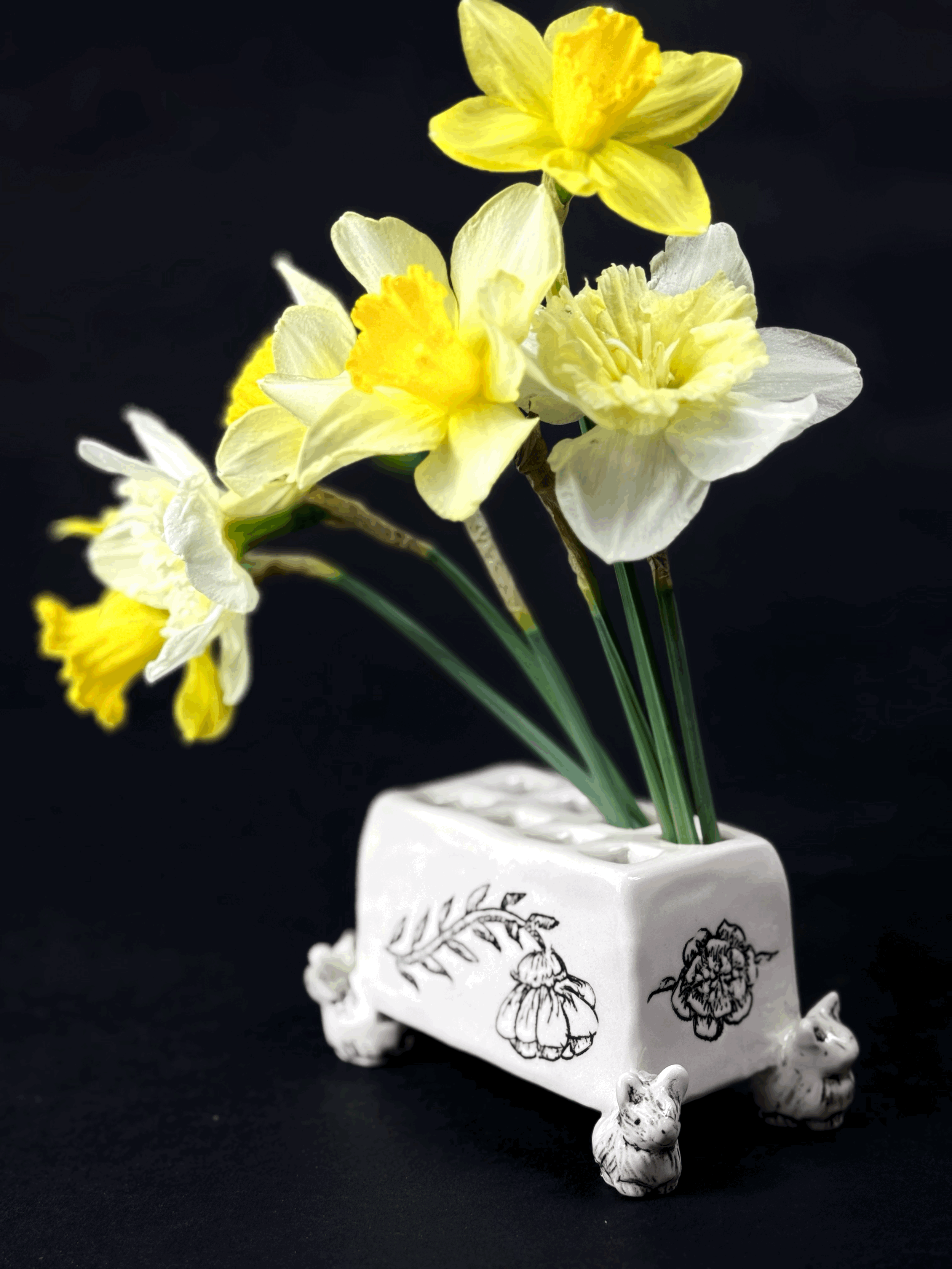 tempImageTorOA8.gif