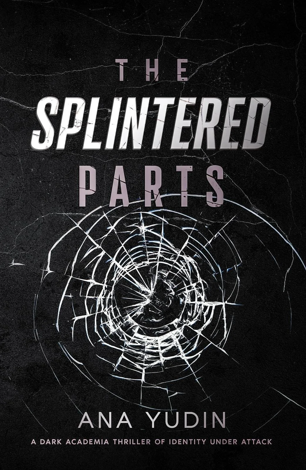 The Splintered Parts - Ana Yudin book cover