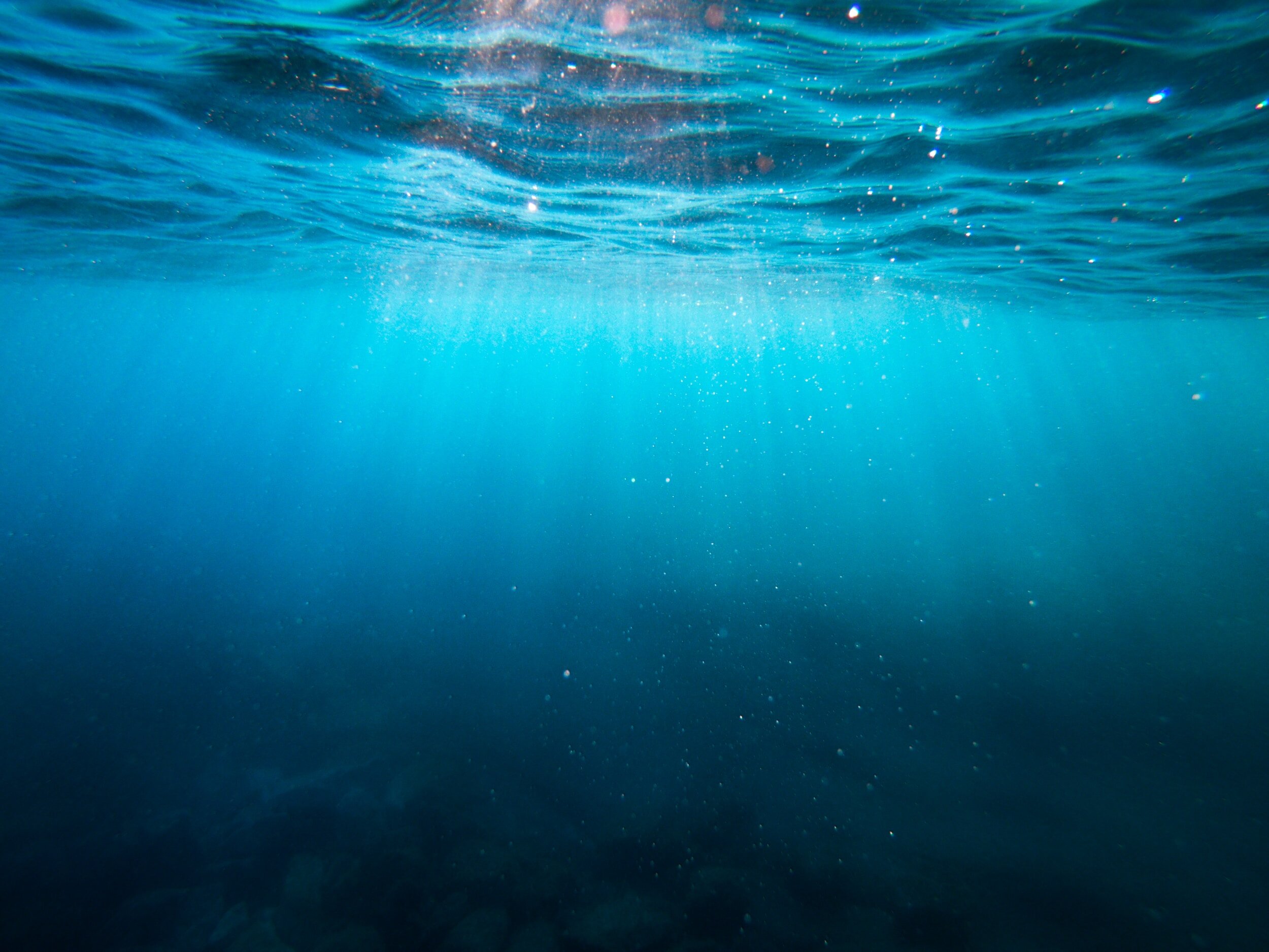 Paedobaptism and Credobaptism | Agreements and Differences