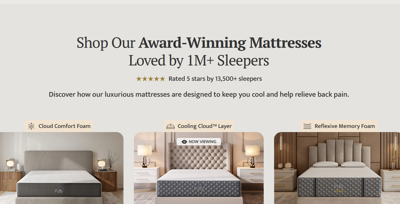 Advertisement for purchase conversion