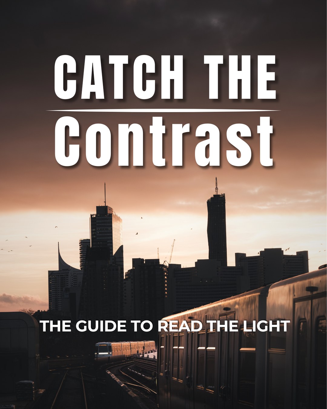 Catch the Contrast: The Guide on How to Read the Light