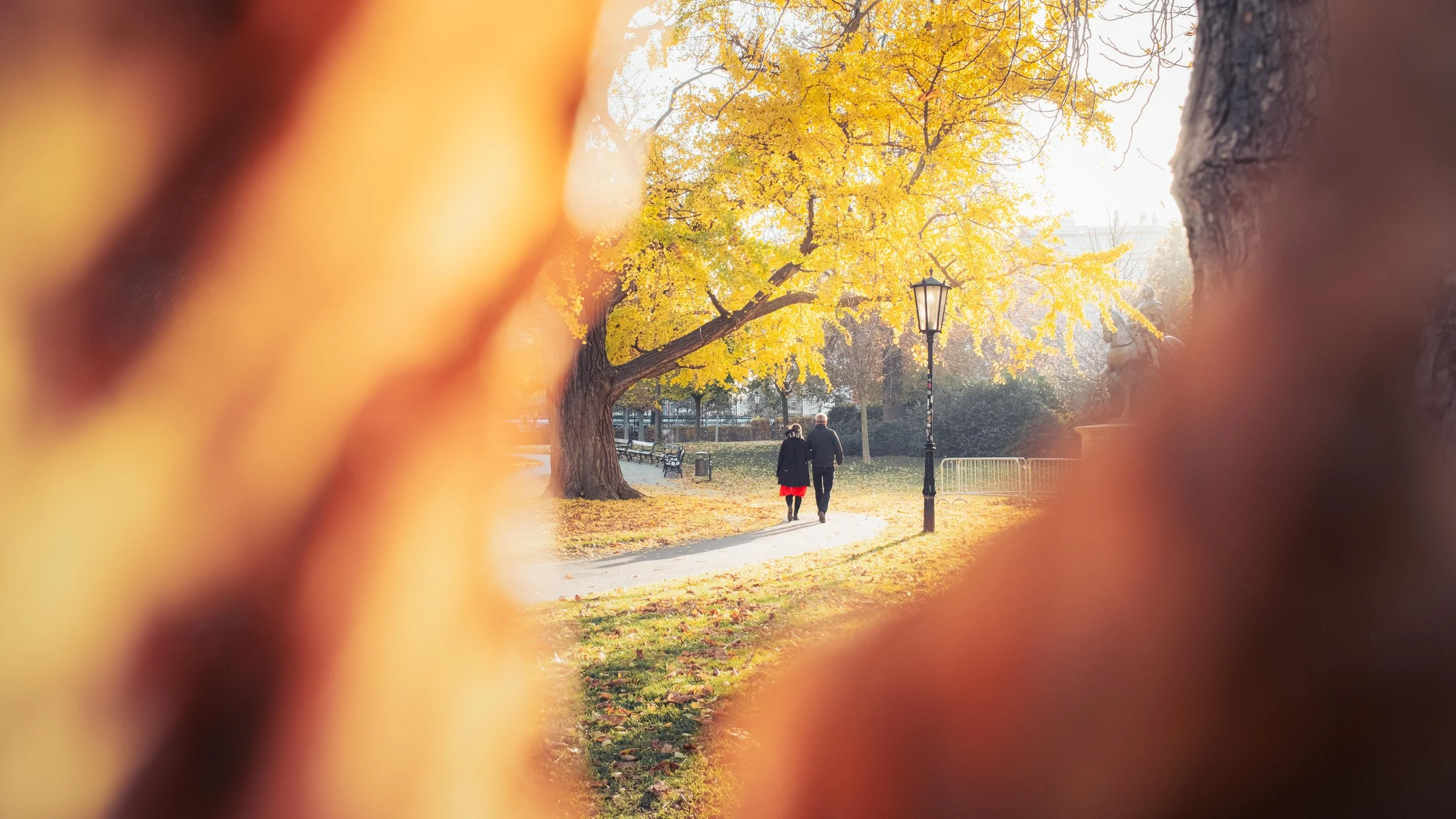 RAW Files Autumn Tutorial