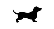 Dachshund-IMG004