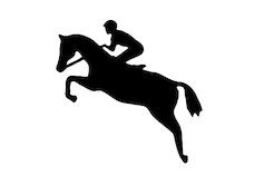 Jumping-Horse-IMG027
