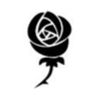 Rose-IMG012
