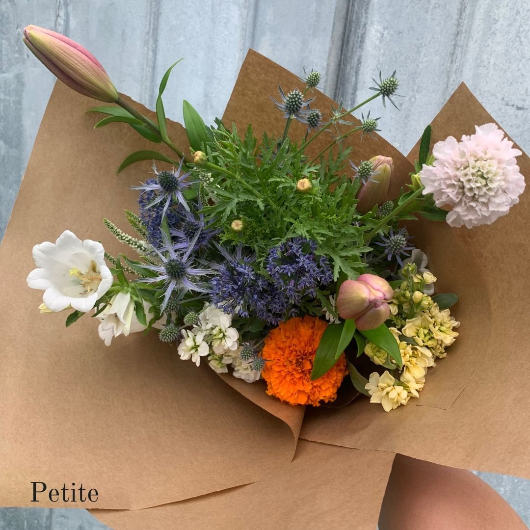 Product Images - 2023- Petite.jpg