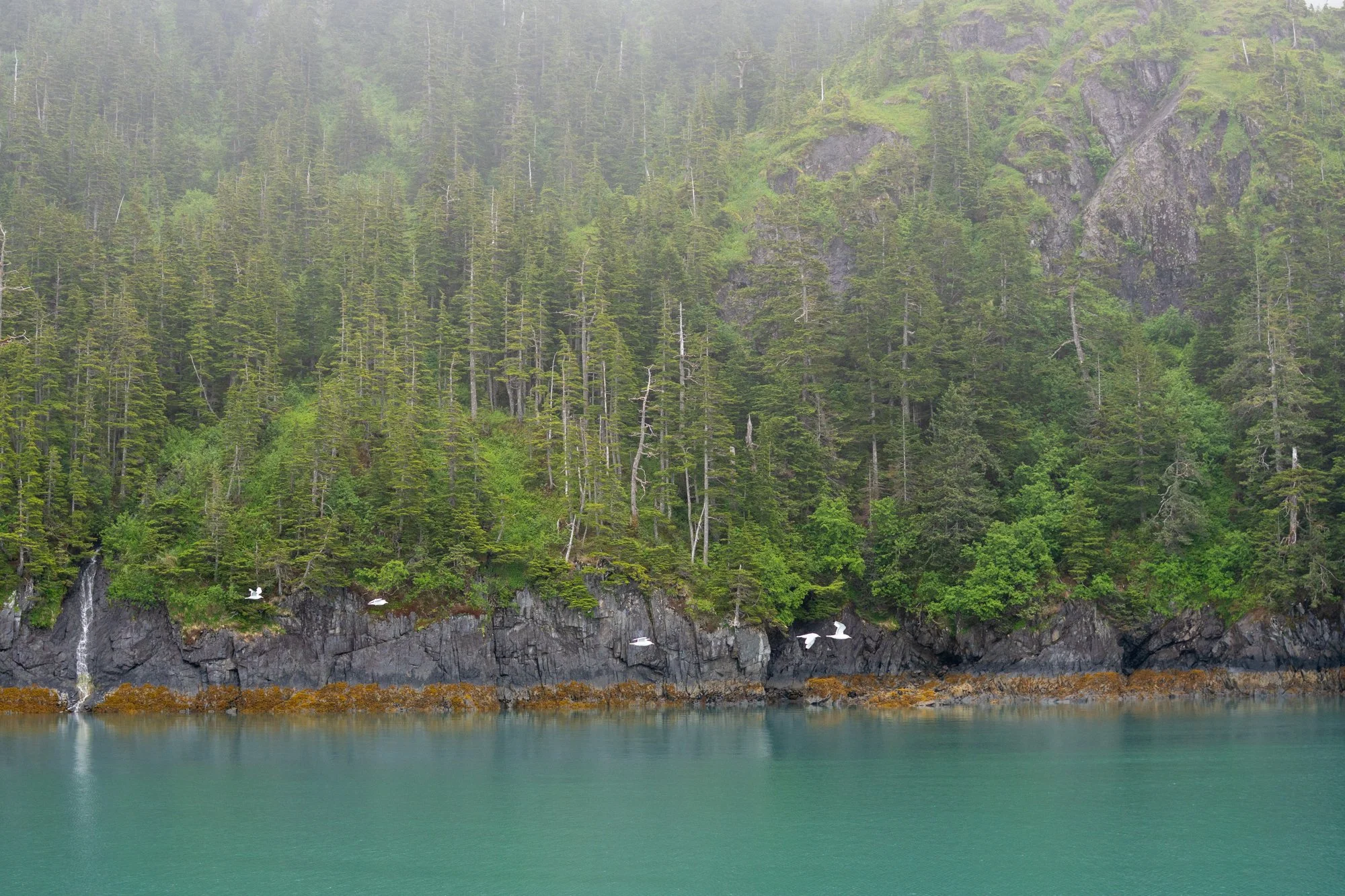 00726survivorweek_02820.jpg