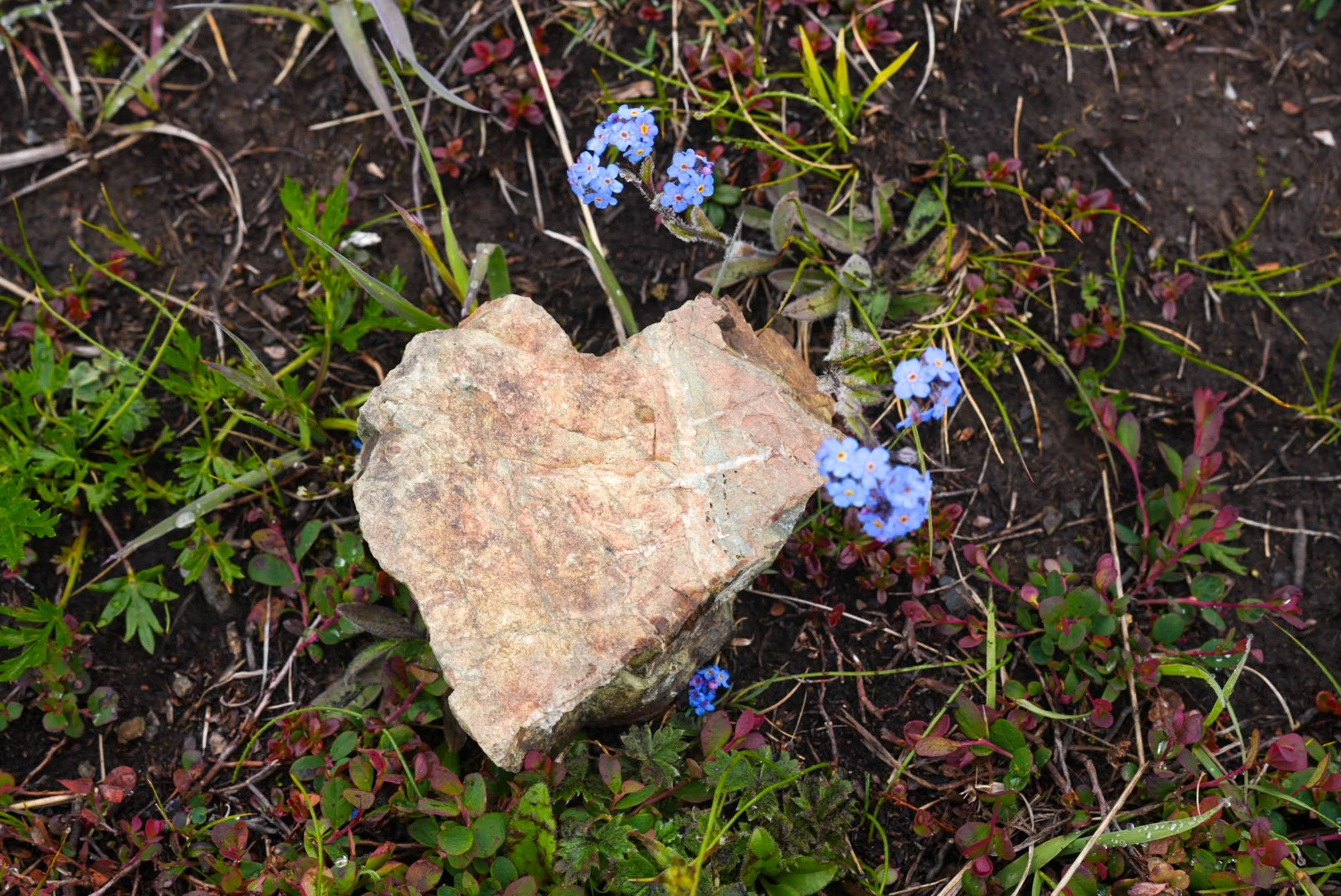 02826survivorweek_04180.jpg