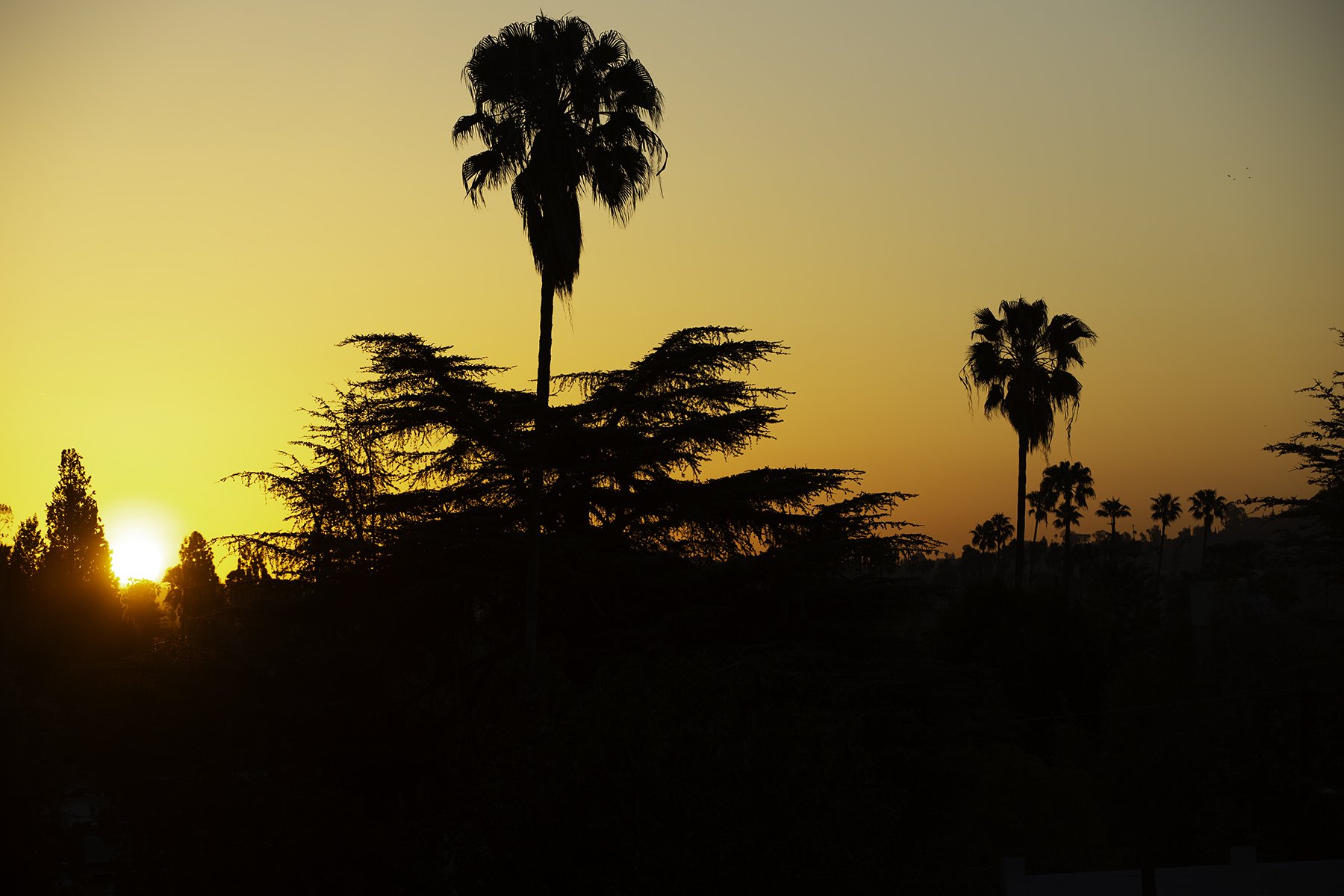 Los Angeles Sunrise 3x2 Thumbnail.jpg