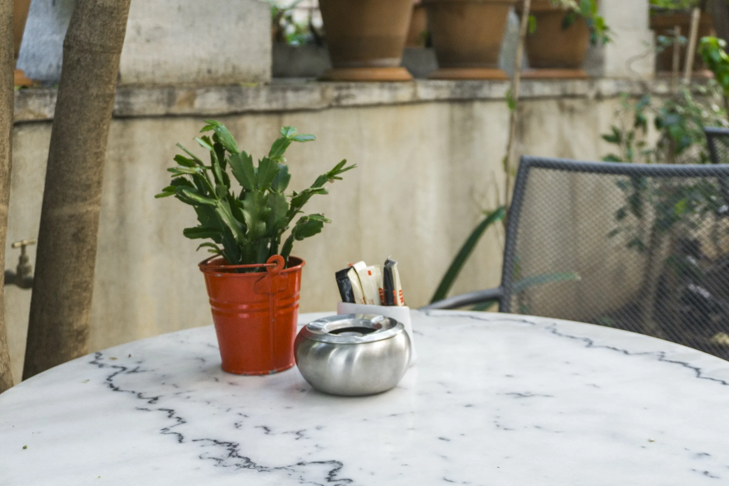 Plant and Jar sitting on a White Marble Countertop