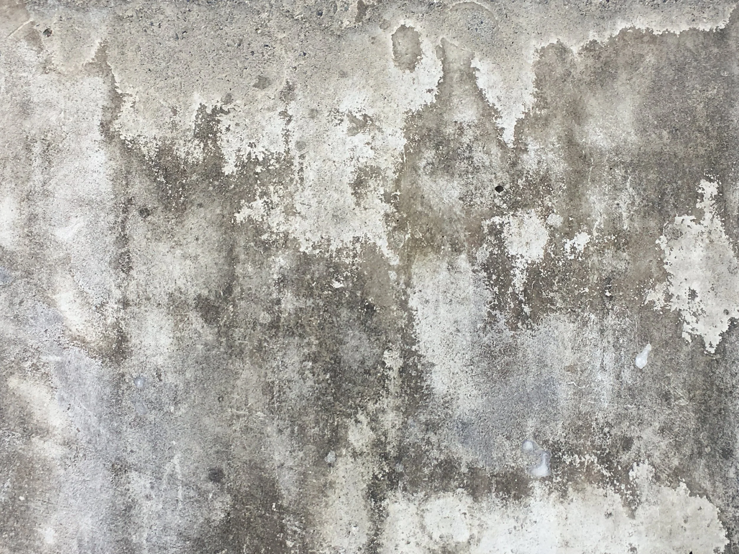 STAIN REMOVAL