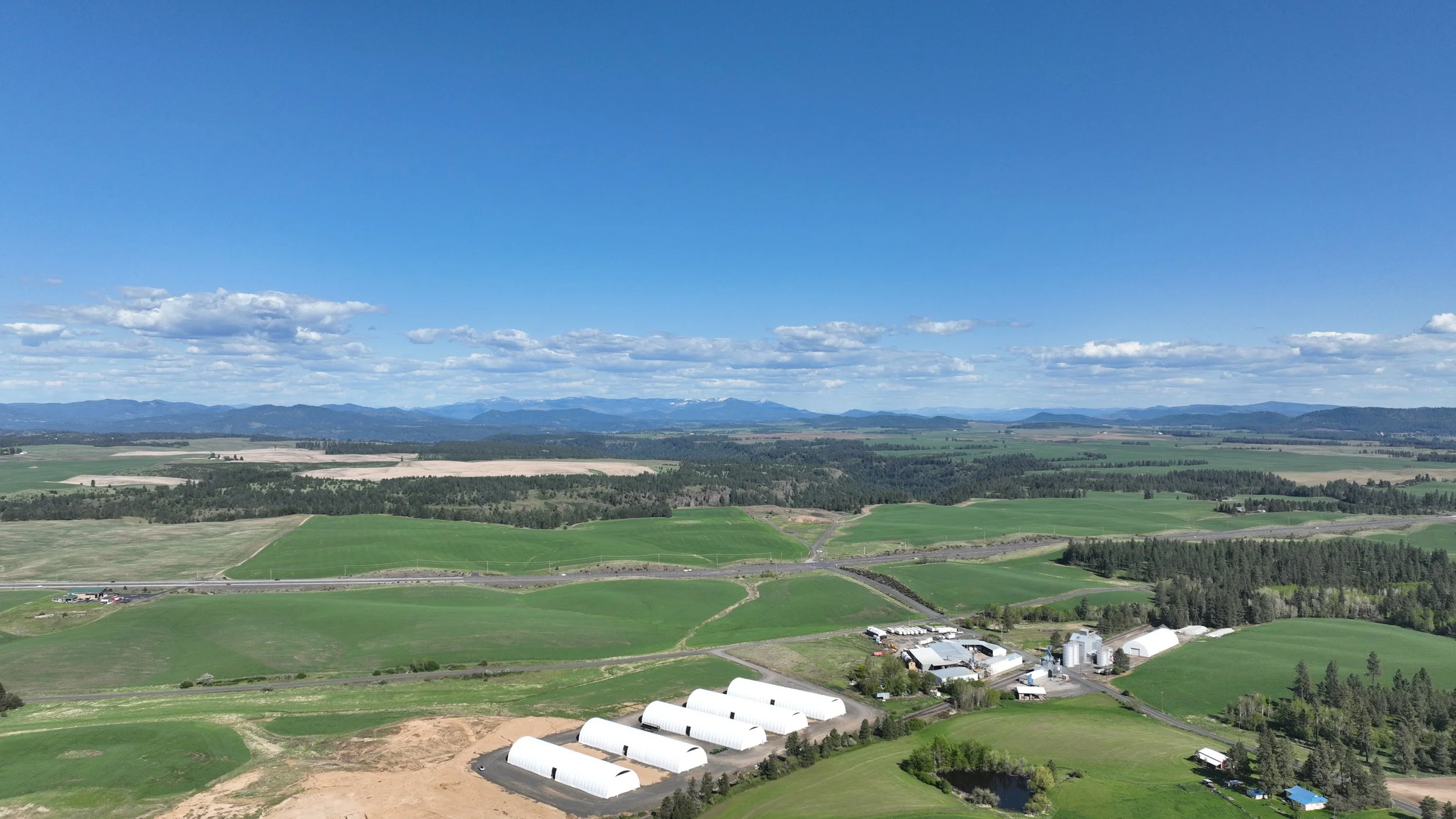 DJI_0600.jpg