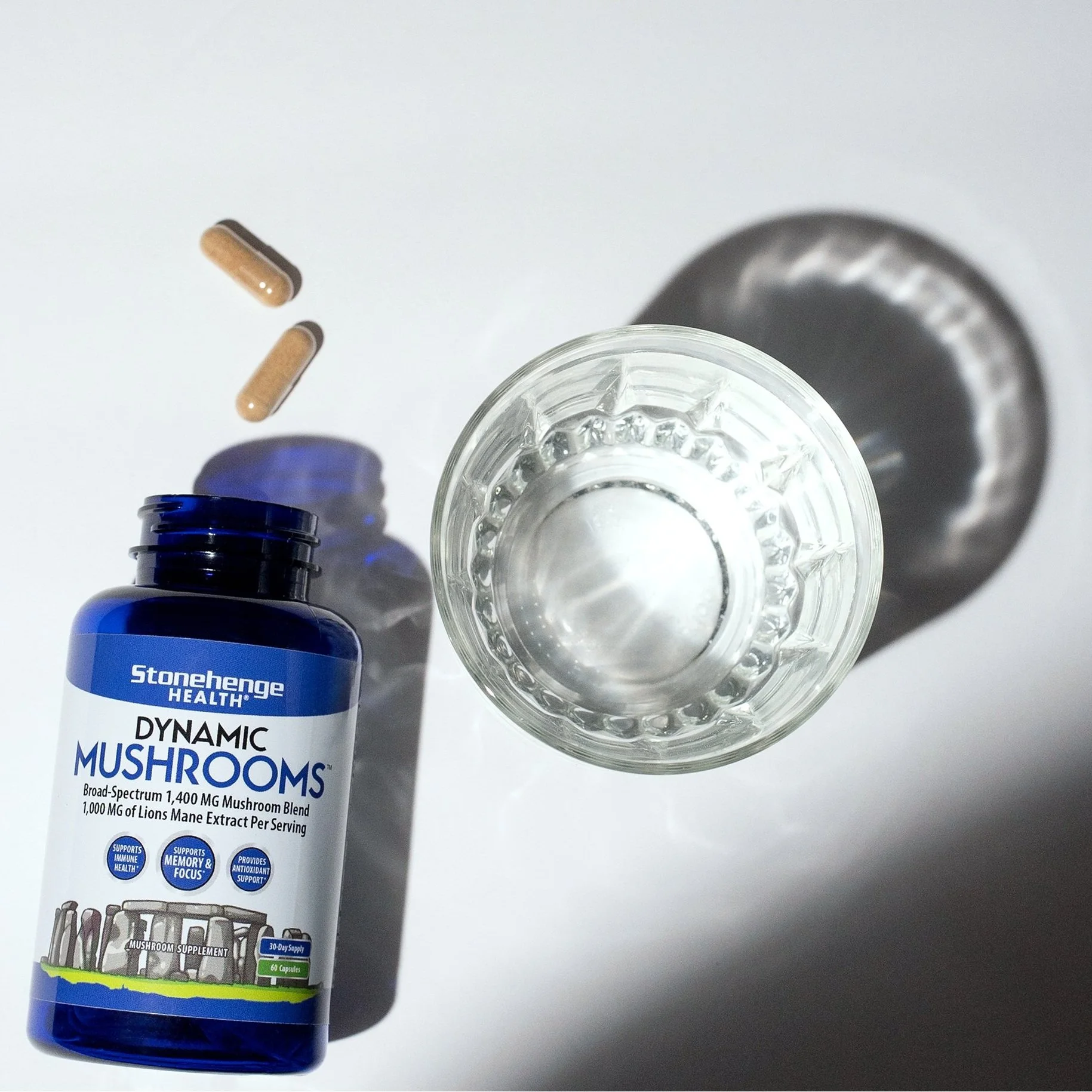 mushroomwithpill+2.jpg