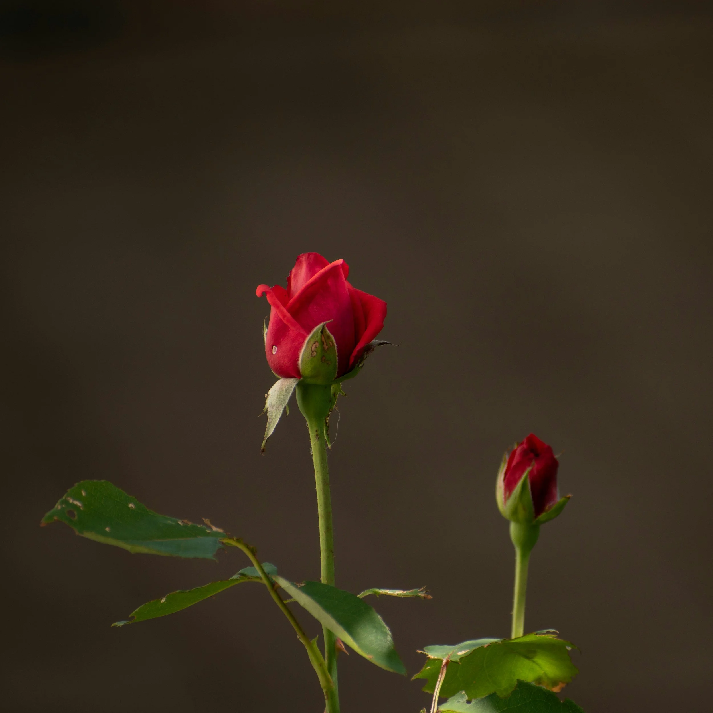 Who Would You Choose…?  <3