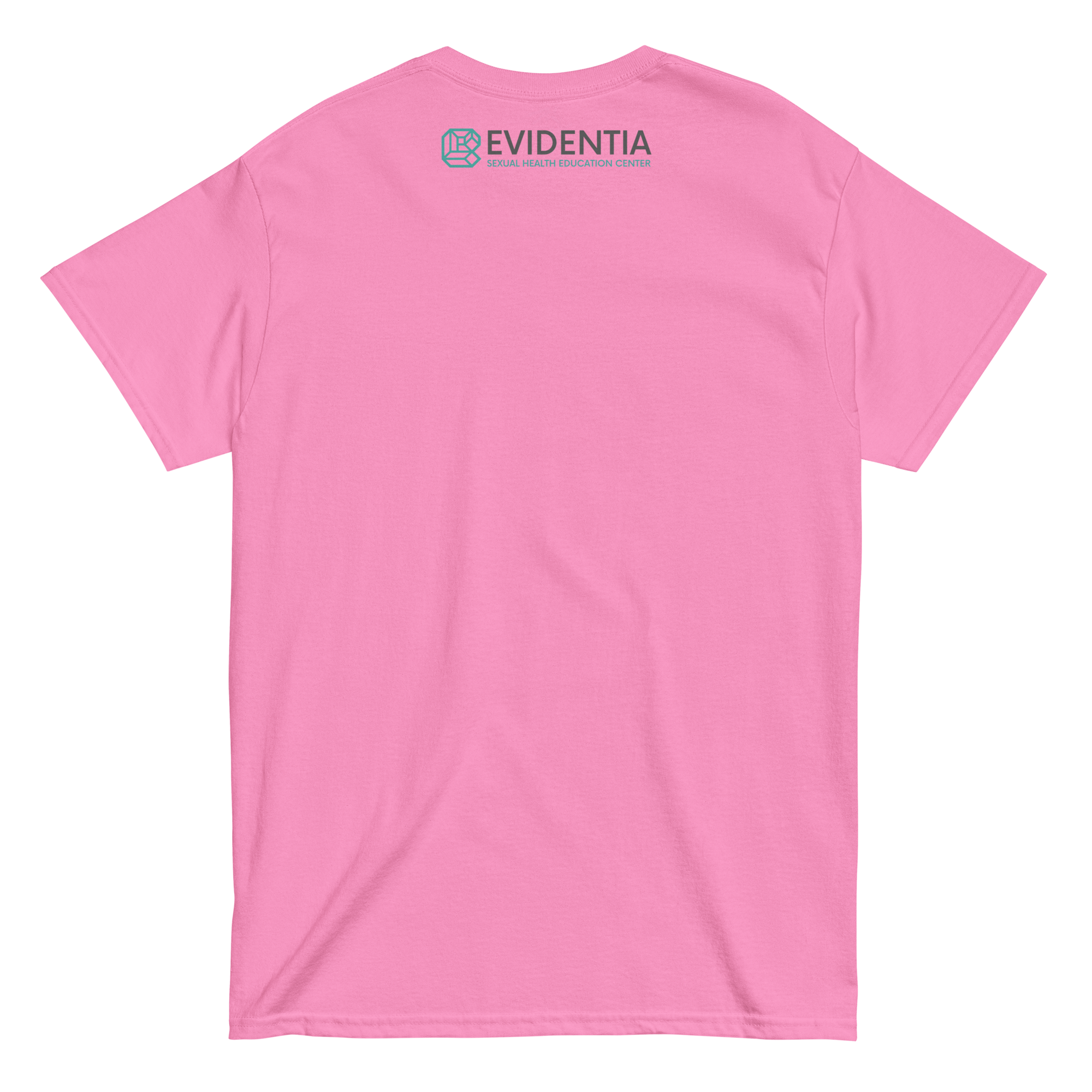 unisex-classic-tee-azalea-back-67080a88a8047.png