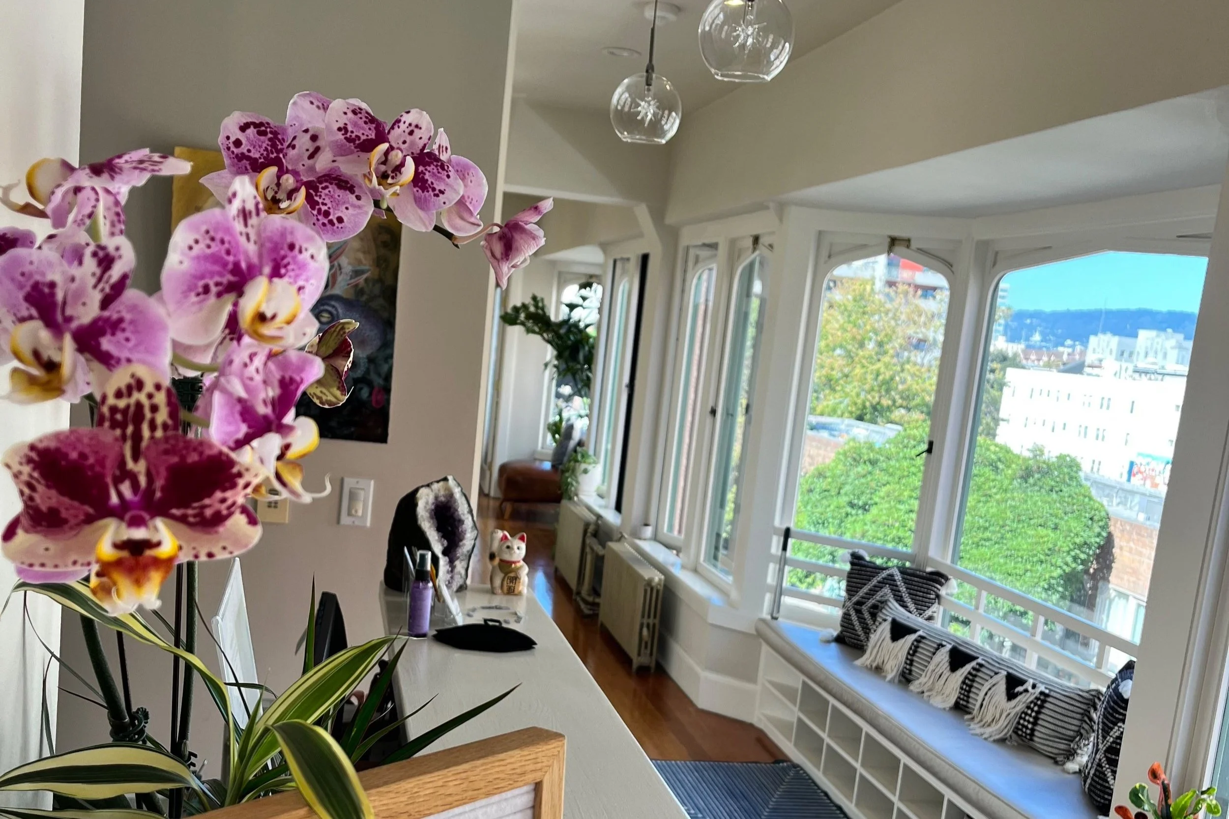 Close-up of pink and purple orchids on a plant in the foreground, with a brightly lit living space featuring large bay windows showing a cityscape and greenery outside in the background.