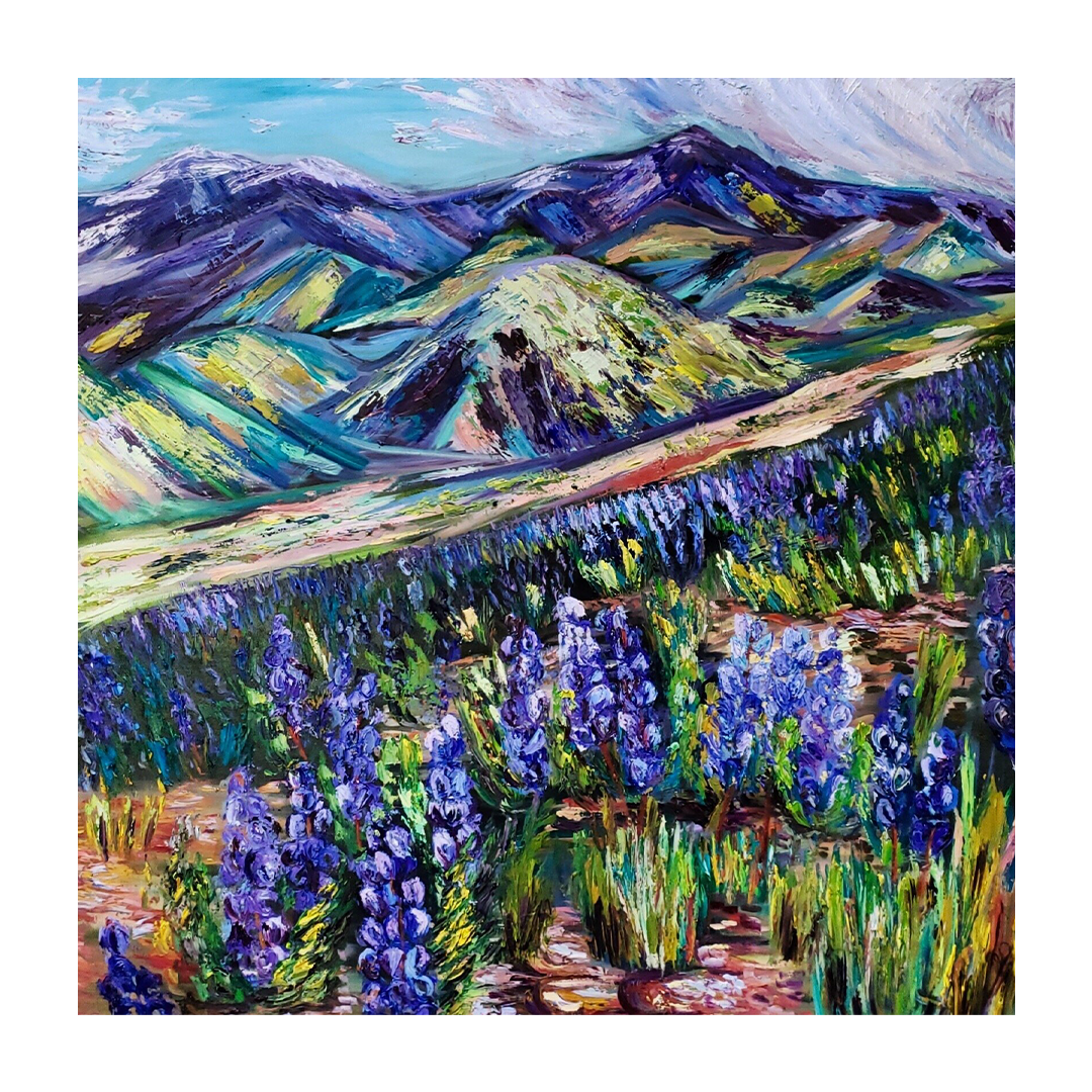 "Alive with Lupine"