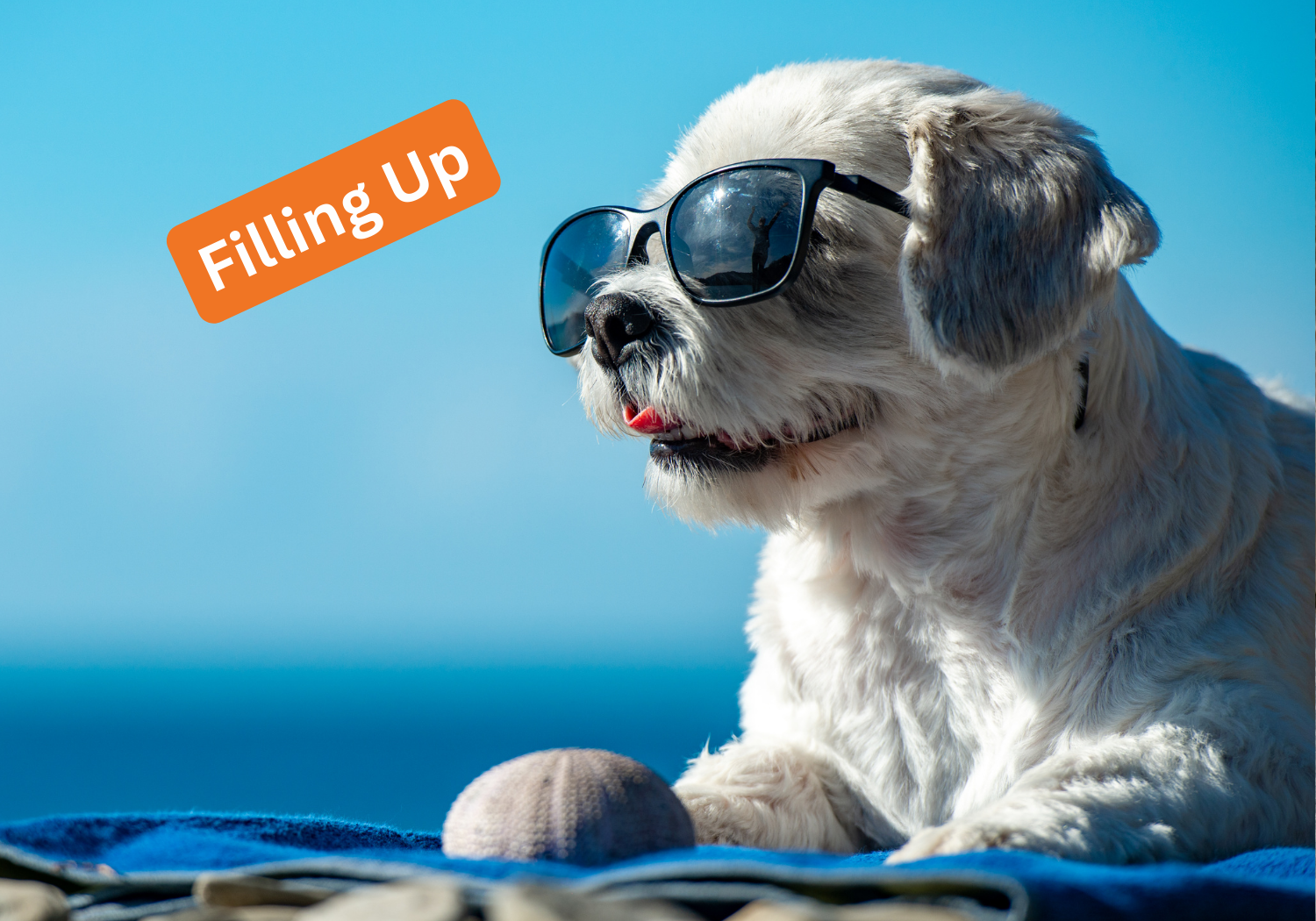 Cultivating Calm Workshop