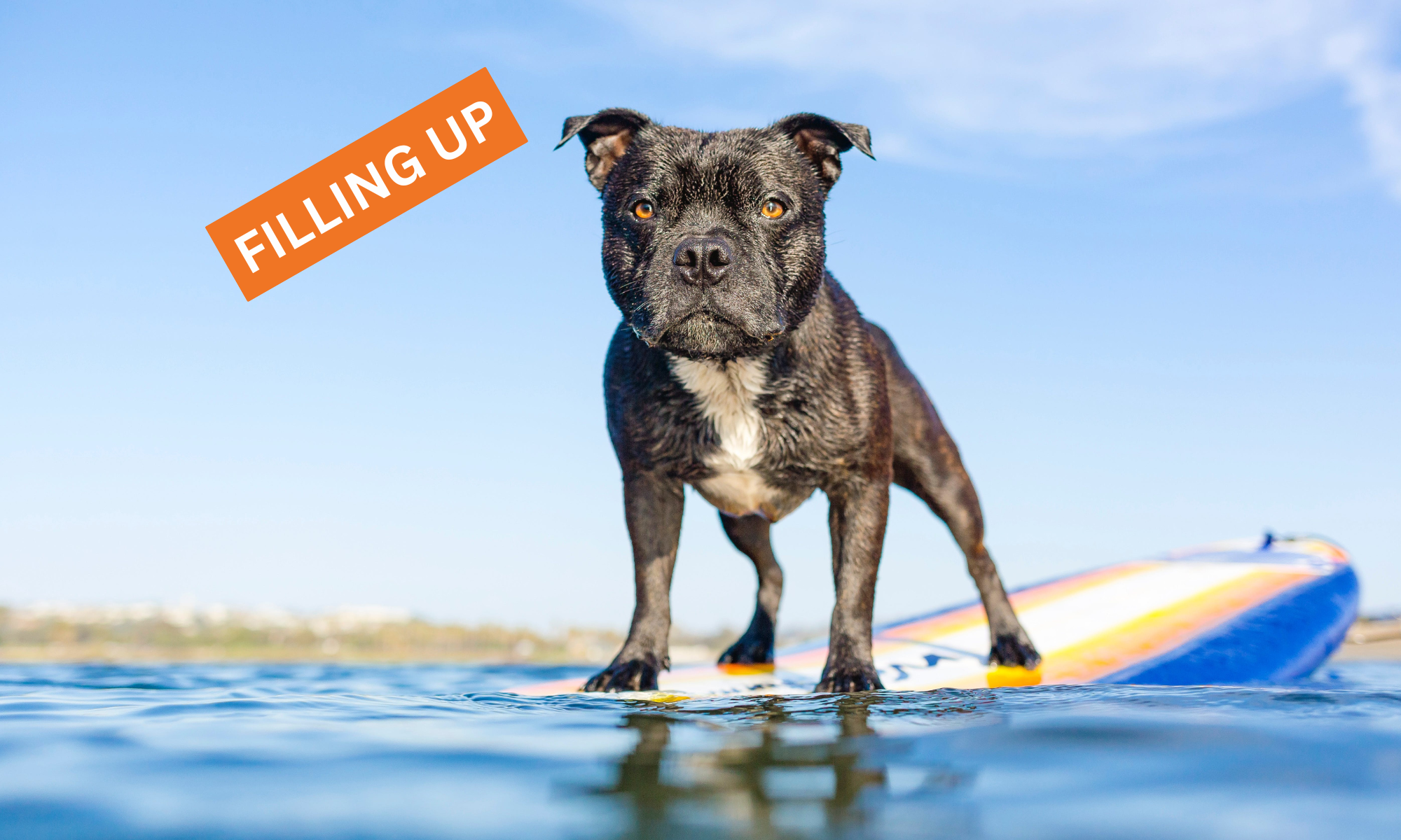 Paddleboarding Workshop