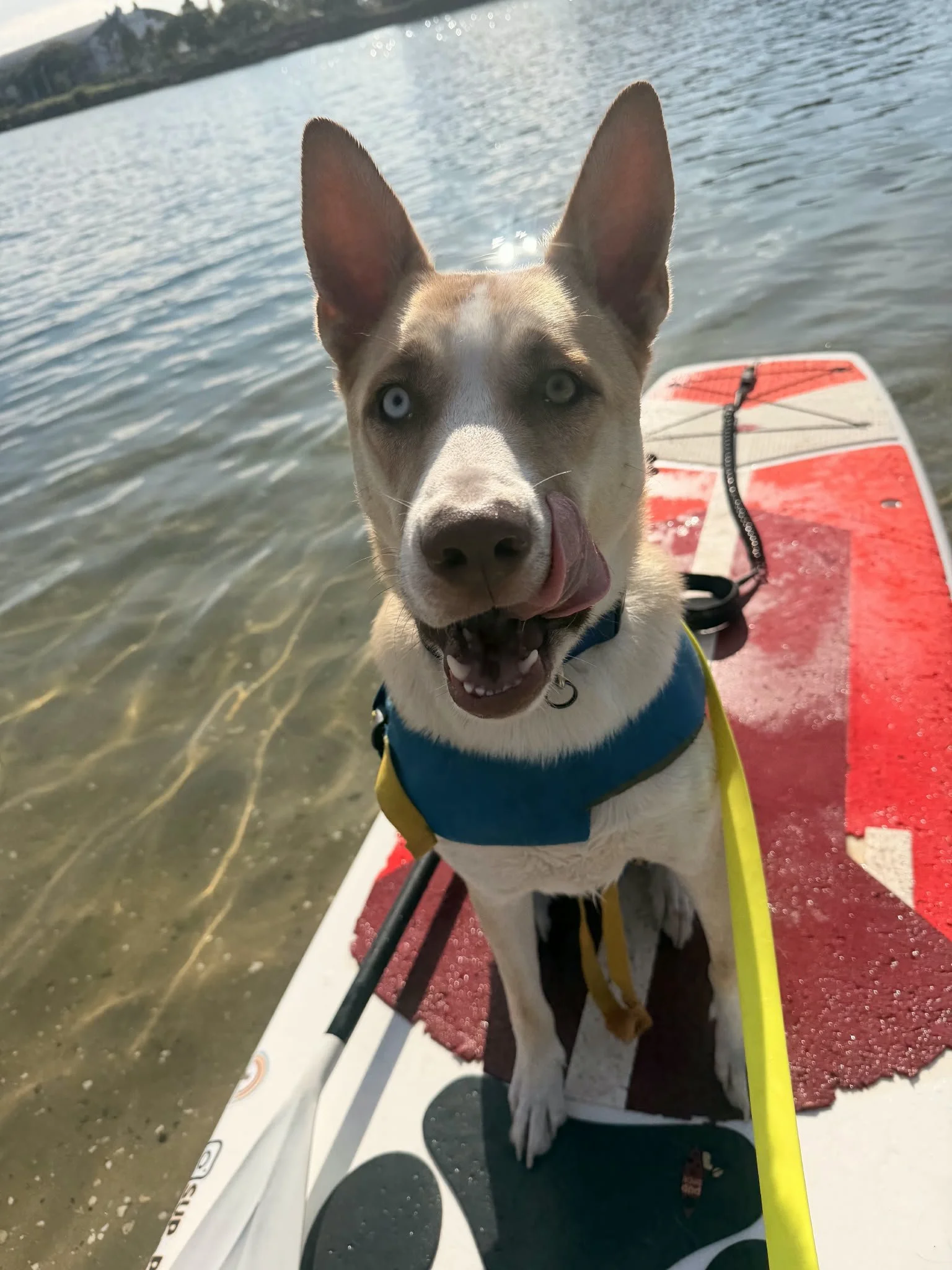 WhatsApp Image 2026-09-02 at 10.07.03 AM (5).jpeg