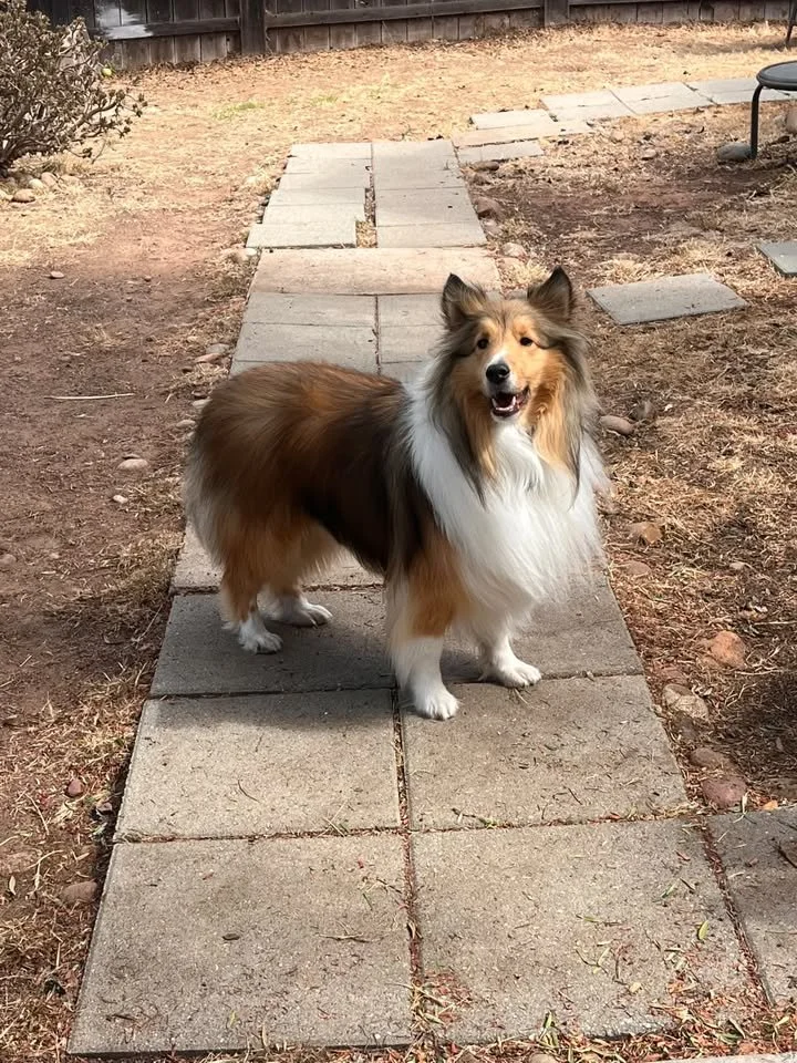 Charlie 1.jpg