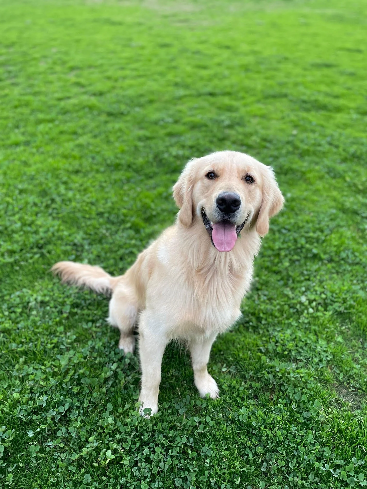 Tucker (2).jpg