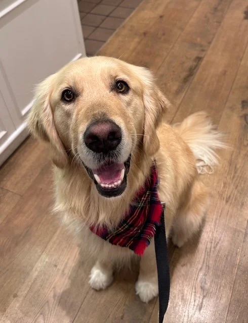 Tucker (5).jpg