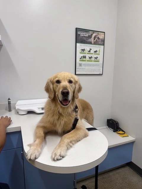 Tucker (8).jpg