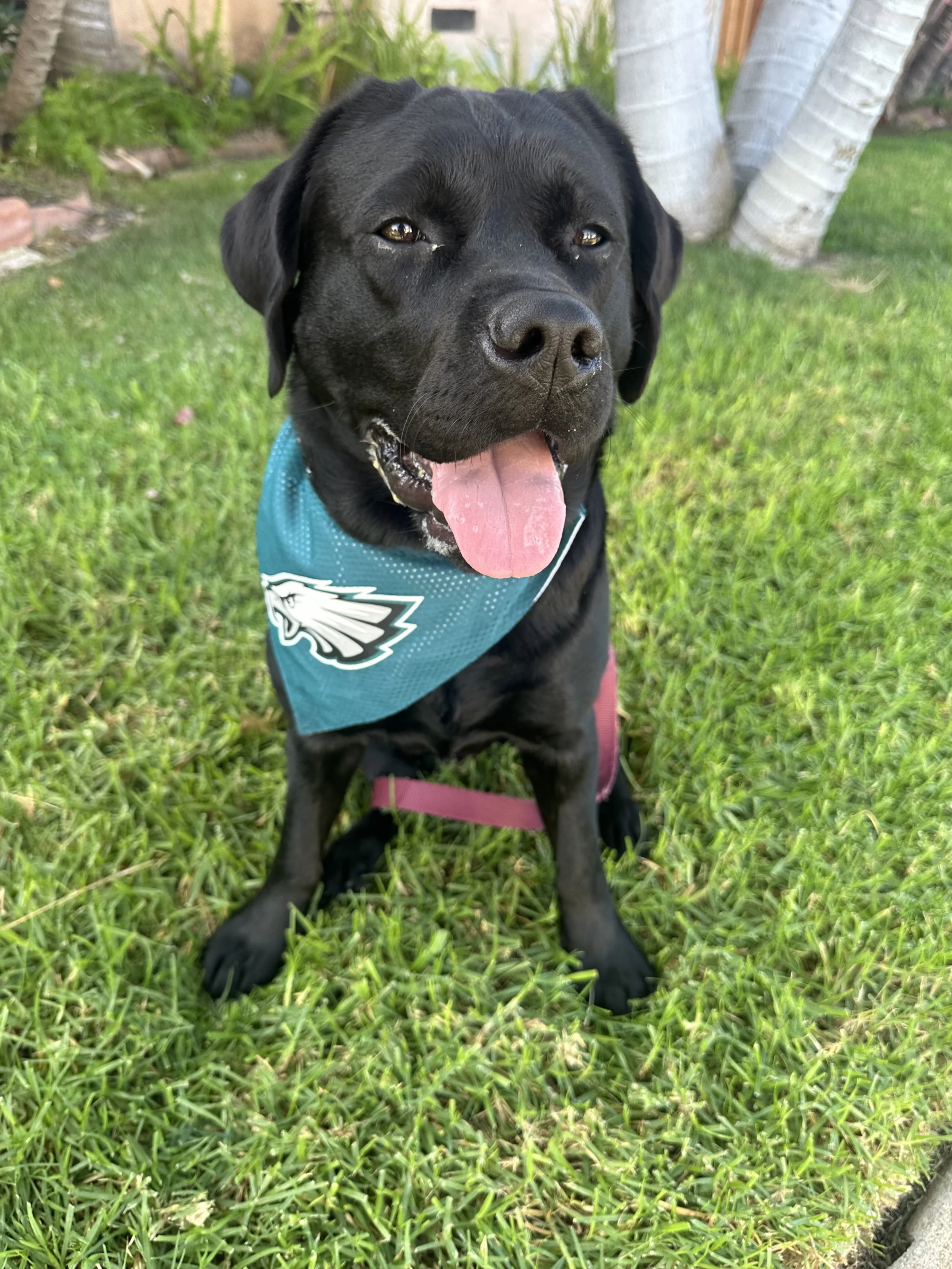 Ruby (7).jpeg