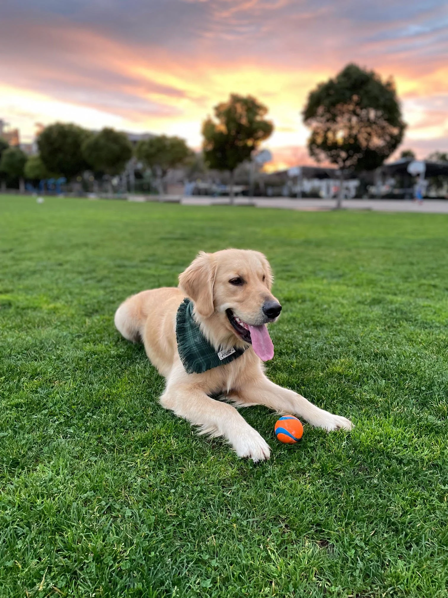 Tucker (1).jpg
