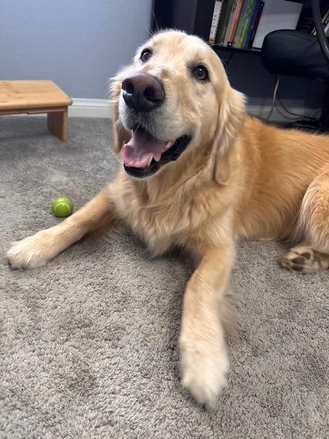 Tucker (6).jpg