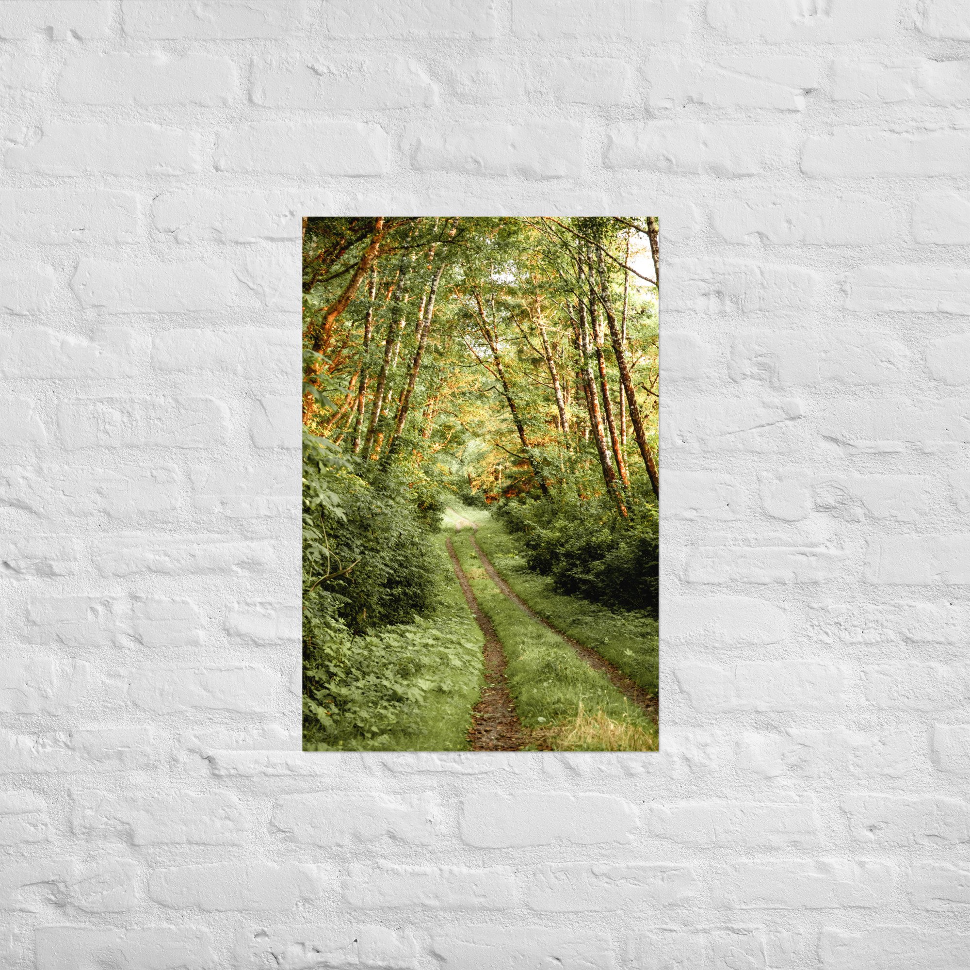 enhanced-matte-paper-poster-(in)-20x30-front-6524c38d292b5.jpg