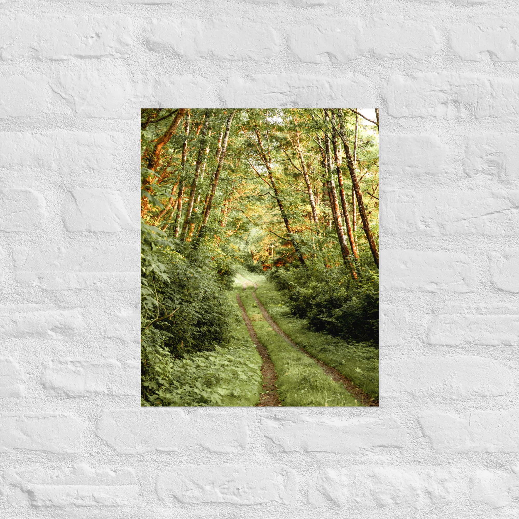 enhanced-matte-paper-poster-(in)-16x20-front-6524c38d2a6d8.jpg