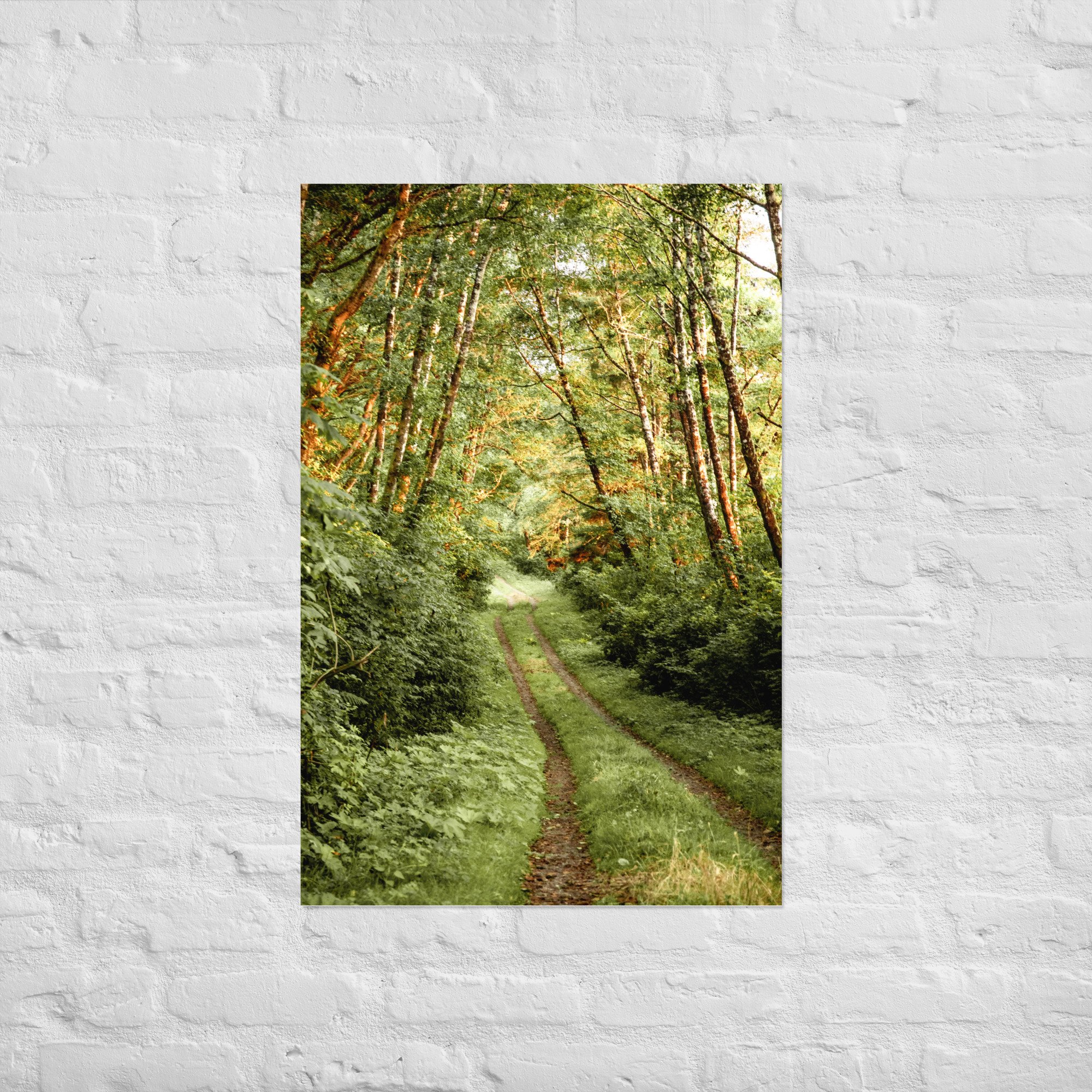 enhanced-matte-paper-poster-(in)-24x36-front-6524c38d2a77f.jpg