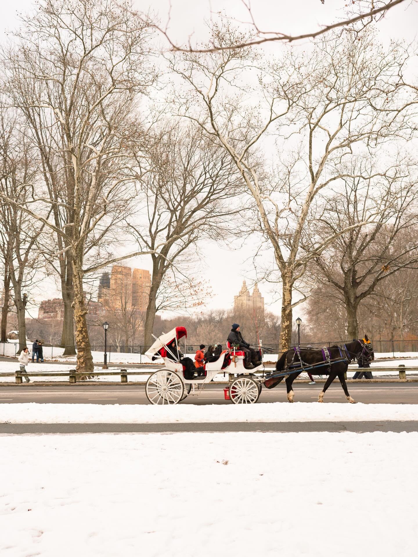 Good to get back out and just take photos for sport. The snow makes for an absolutely scenic backdrop