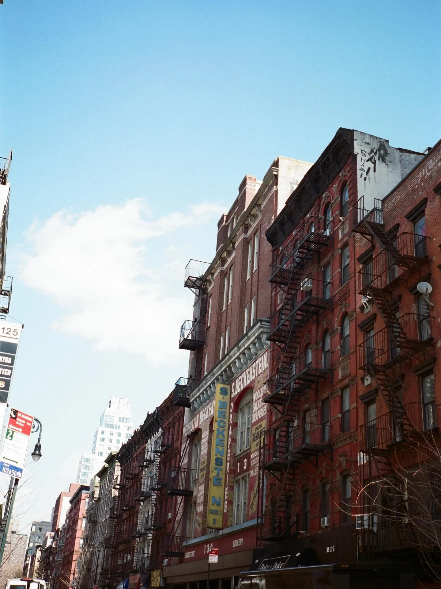 Portra blues are undefeated

#portra400 #contaxt2 #contax