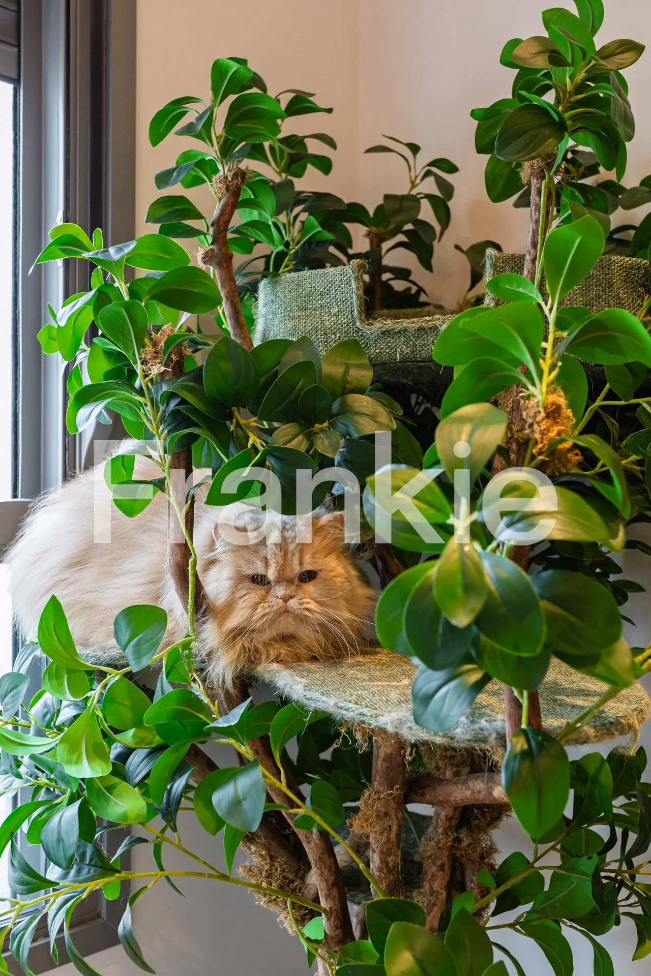 FRK150 - APTO A VENDA NO ALTO DO IPIRANGA-56.jpg