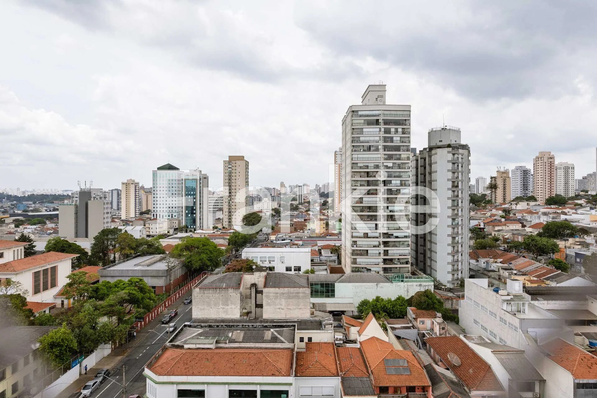 Lino Coutinho_Leandro Furini-15.jpg